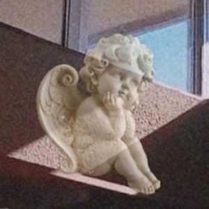 Meet your Posher, Carole